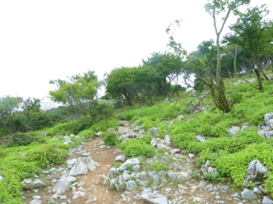 藤原山荘